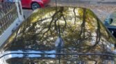 The image shows the roof of a black car with its antenna centered, reflecting trees and a person taking the picture. In the background, there is a red compact Cooper 3dr parked on the street, along with a wooden fence and trees with autumn-colored leaves.