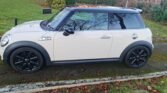 A white MINI Cooper with a black roof and black rims is parked on a leafy, moss-covered path in a park. The area is surrounded by trees and bushes with some autumn foliage. The car's windows reflect the branches of the surrounding trees.