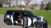 A custom MINI Cooper with a unique black and white striped pattern is parked on a paved area in a park. The car has brown leather seats, and both the driver's side door and the rear passenger door are open. Leafless trees and green grass are visible in the background on a sunny day.
