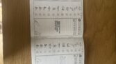 A mini booklet with two pages open on a wooden surface. Each page features rows of icons representing activities or items, checkboxes, handwritten numbers, and tally marks. The layout is organized with columns and sections, using mostly blue ink.